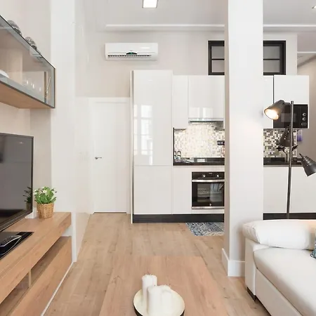 Apartment Homemalaga Constitucion 2 *