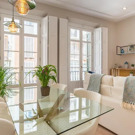 Apartment Homemalaga Constitucion 2 *