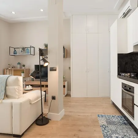 Apartment Homemalaga Constitucion 2 *