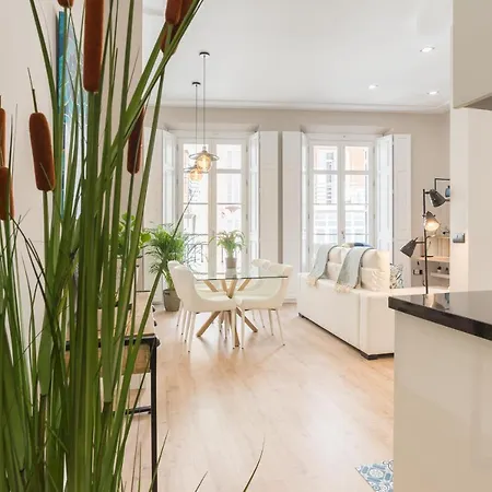 Apartment Homemalaga Constitucion 2 Malaga